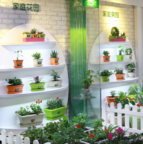 植彩坊智能園藝機 科技點亮綠色生活，室內種植新體驗